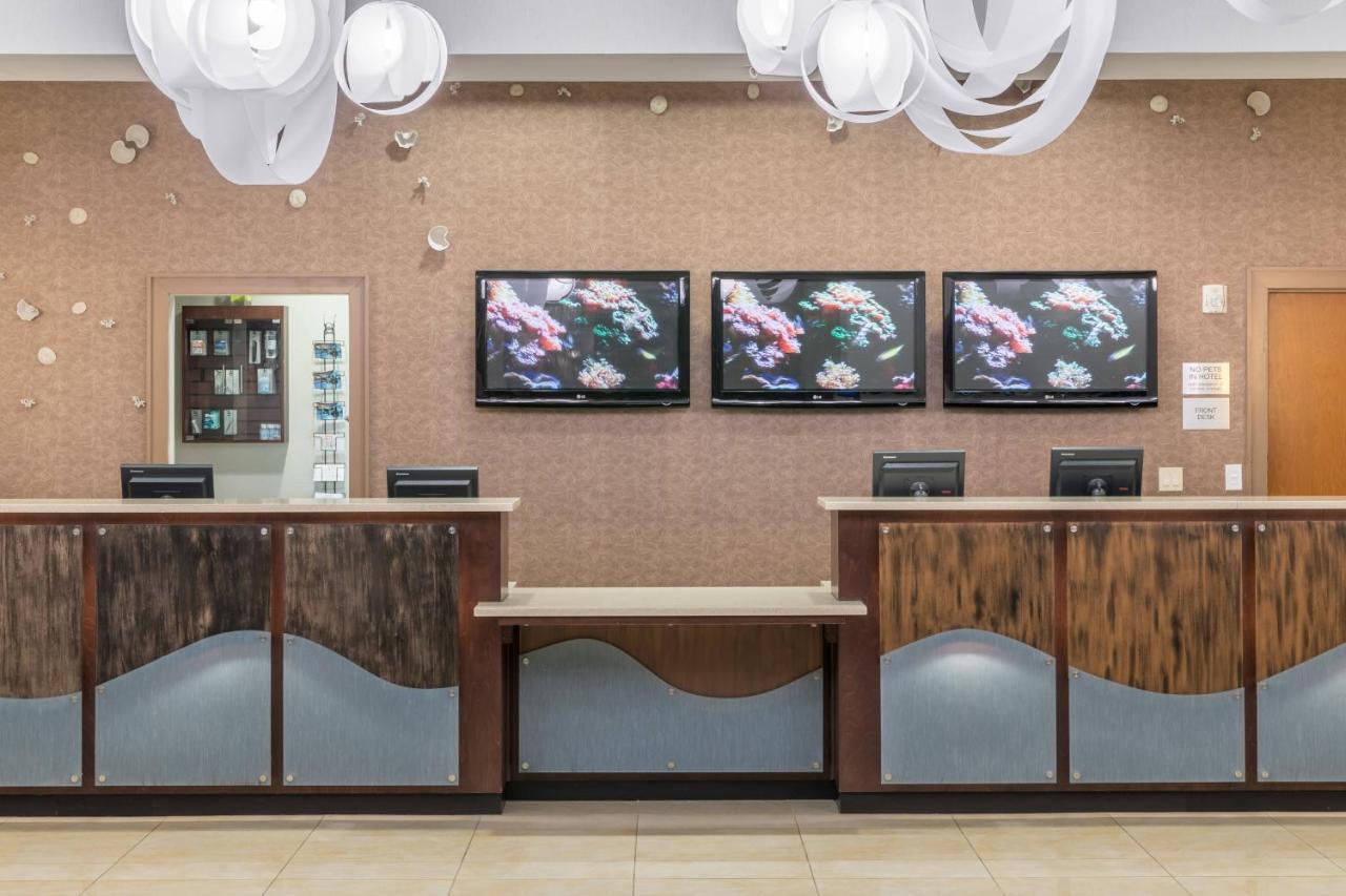 Fairfield Inn Suites By Marriott Orlando At Seaworld Williamsburg Ngoại thất bức ảnh